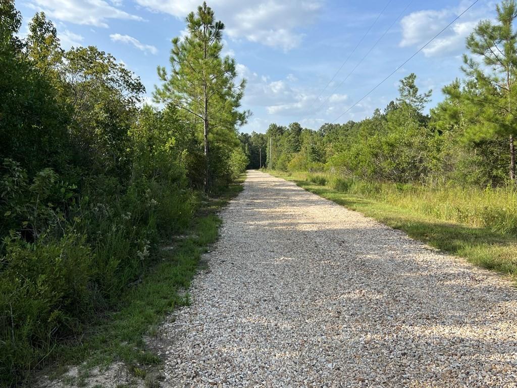 34 Ragtyme Ridge Poplarville, MS 39470 - Photo 14 of 29 Gallery Image 14