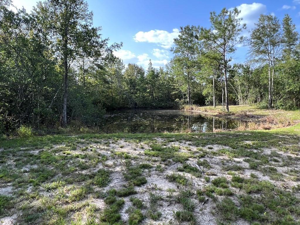 34 Ragtyme Ridge Poplarville, MS 39470 - Photo 17 of 29 Gallery Image 17