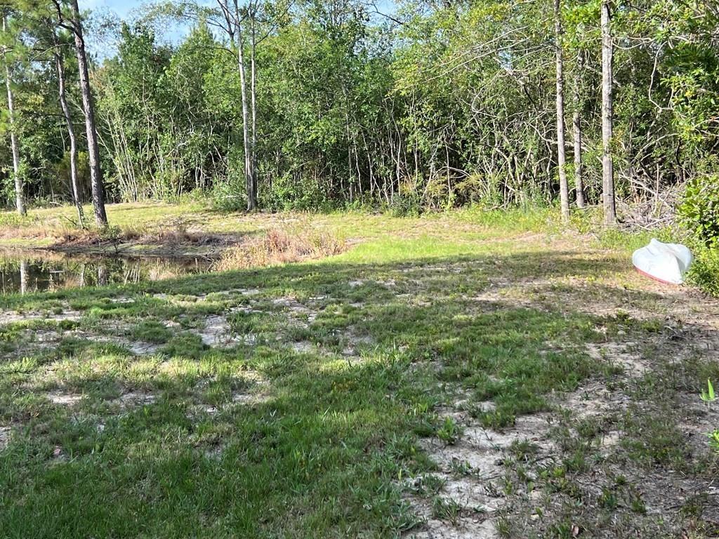 34 Ragtyme Ridge Poplarville, MS 39470 - Photo 3 of 29 Gallery Image 3
