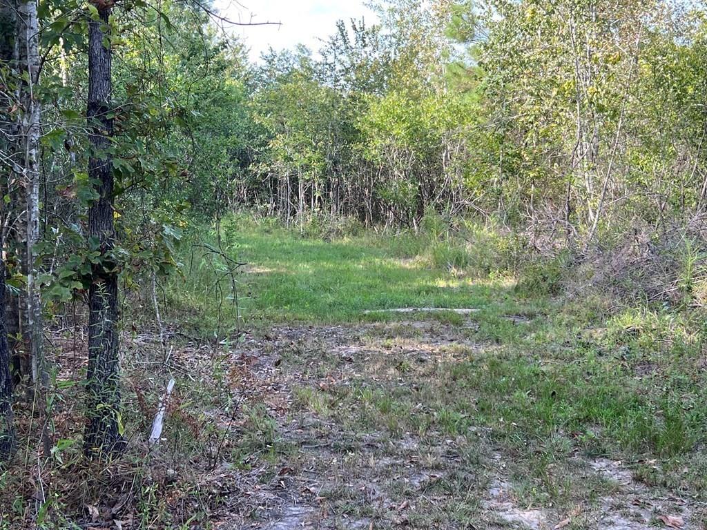 34 Ragtyme Ridge Poplarville, MS 39470 - Photo 5 of 29 Gallery Image 5