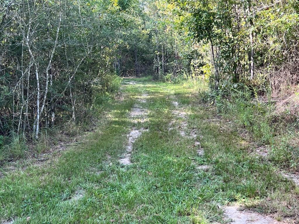 34 Ragtyme Ridge Poplarville, MS 39470 - Photo 6 of 29 Gallery Image 6