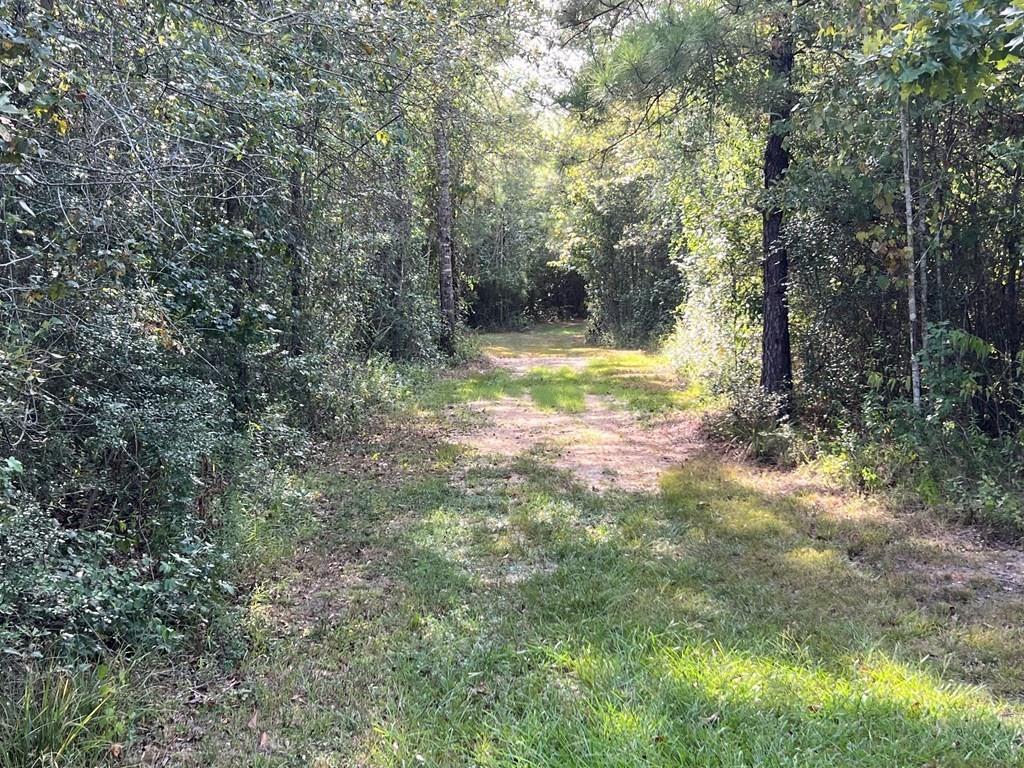 34 Ragtyme Ridge Poplarville, MS 39470 - Photo 7 of 29 Gallery Image 7
