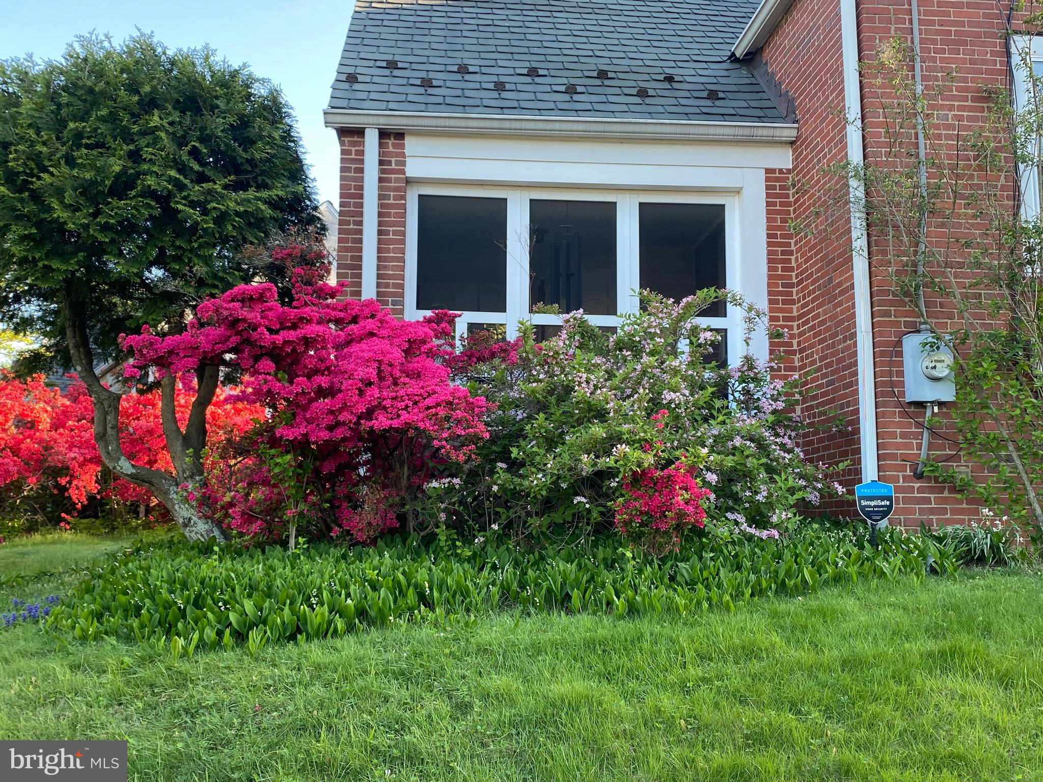 406 Dale Drive Silver Spring, MD 20910 - Photo 60 of 60 a view of a house with potted plants