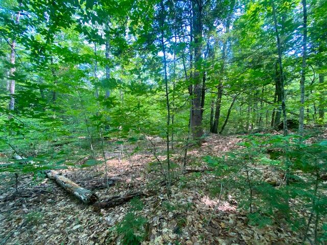 15-ac Colcord Pond Road Porter, ME 04068 - Photo 10 of 10 IMG_5888