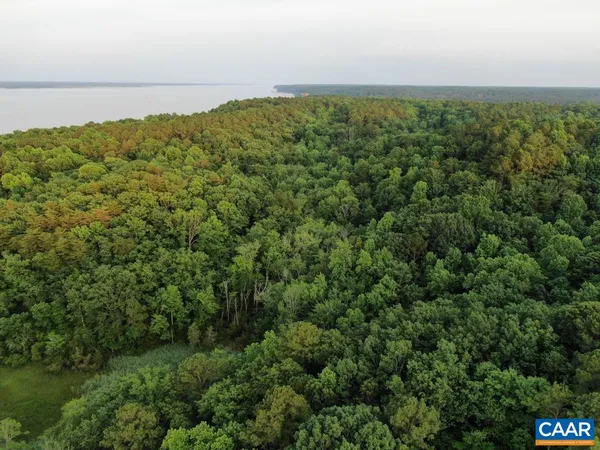 a view of a large yard with lots of green space