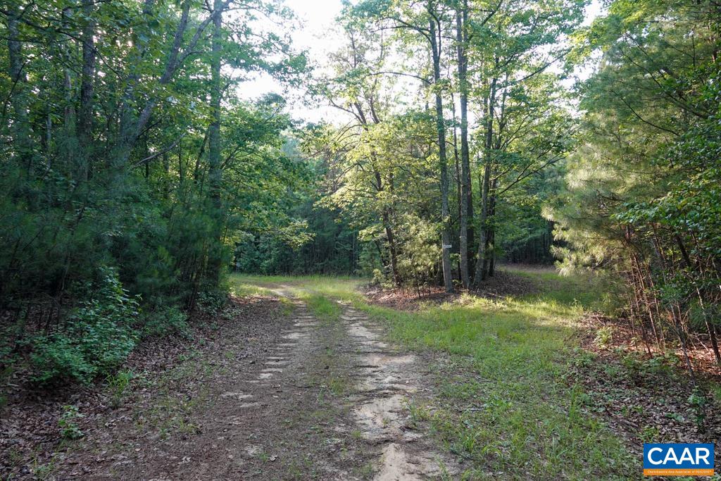A Ware Creek Road Williamsburg, VA 23188 - Photo 24 of 25 a backyard of a house with lots of green space