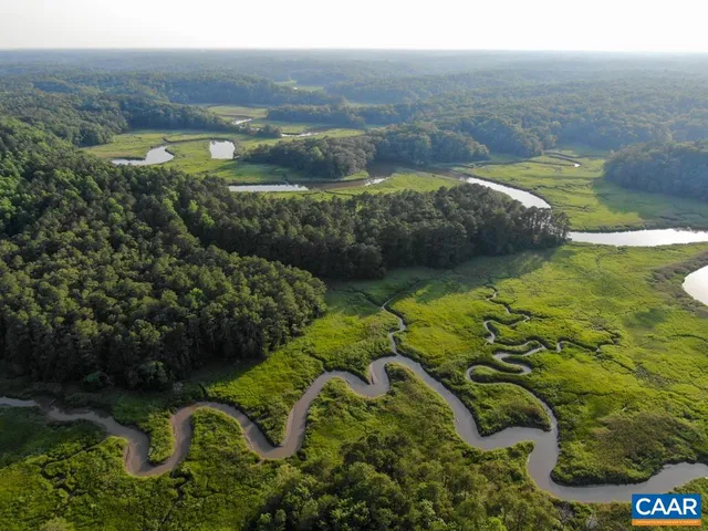 an aerial view of forest