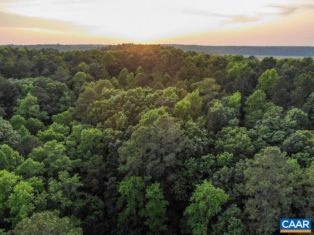 A Ware Creek Road Williamsburg, VA 23188 - Photo 4 of 25 an aerial view of forest