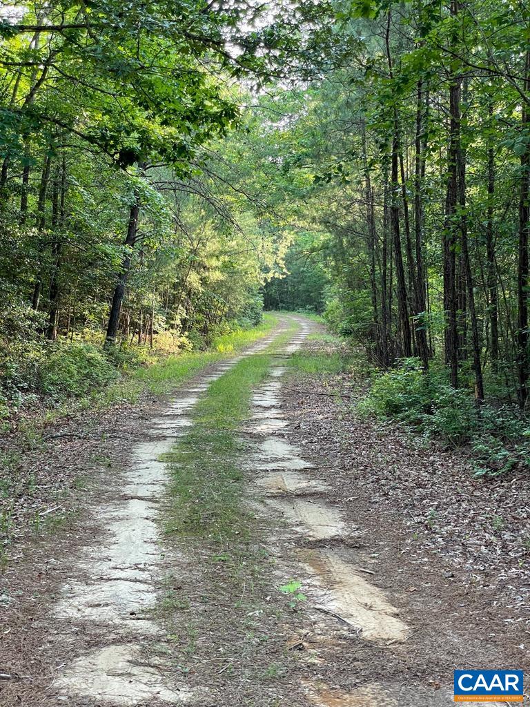 A Ware Creek Road Williamsburg, VA 23188 - Photo 8 of 25 a view of a road with a yard