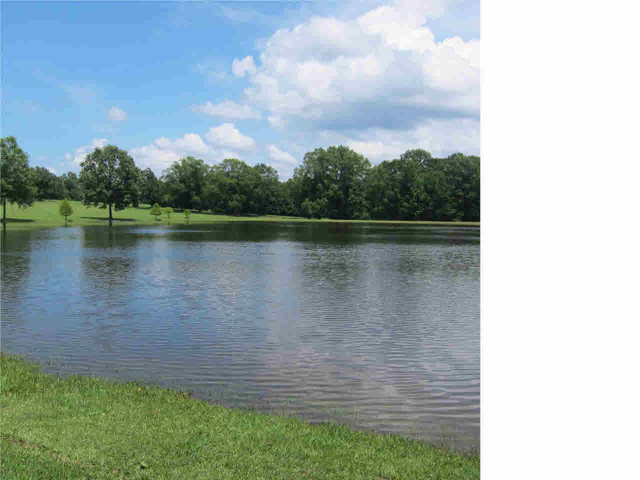 136 Brook Ridge Lane, Unit A Canton, MS 39046 - Photo 2 of 36 4 Acre stocked lake