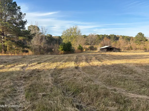 $154,000 | 824 Ratliff Ferry Road, Canton, MS 39046