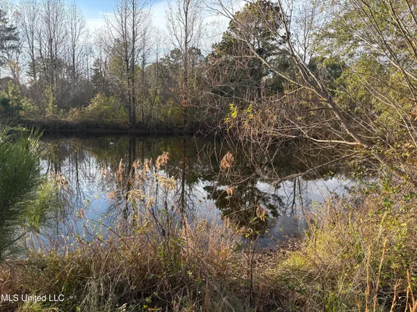 $154,000 | 824 Ratliff Ferry Road, Canton, MS 39046