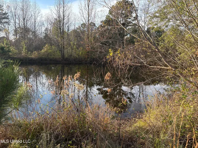 $154,000 | 824 Ratliff Ferry Road, Canton, MS 39046