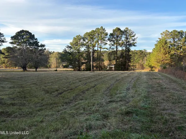 $154,000 | 824 Ratliff Ferry Road, Canton, MS 39046