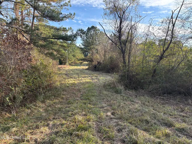 $154,000 | 824 Ratliff Ferry Road, Canton, MS 39046