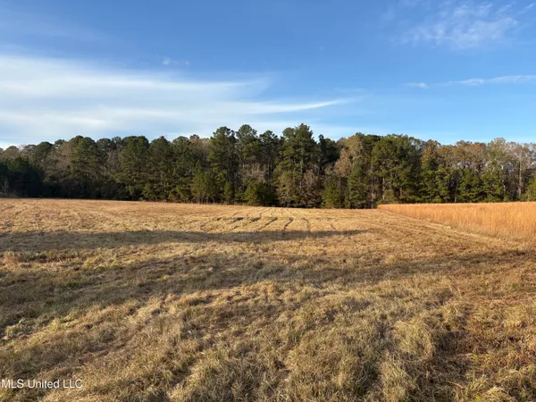 $154,000 | 824 Ratliff Ferry Road, Canton, MS 39046