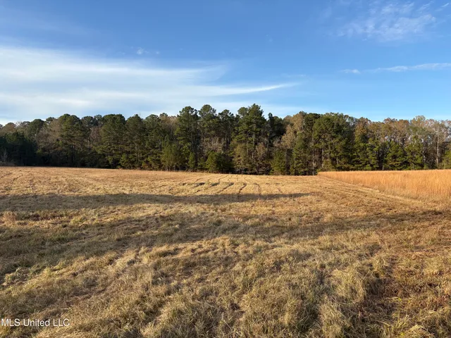 $154,000 | 824 Ratliff Ferry Road, Canton, MS 39046