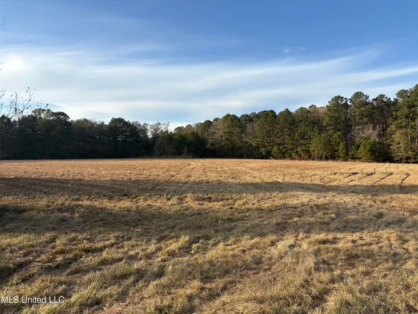$154,000 | 824 Ratliff Ferry Road, Canton, MS 39046