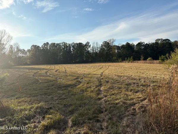 $154,000 | 824 Ratliff Ferry Road, Canton, MS 39046