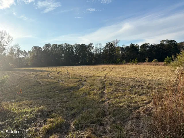 $154,000 | 824 Ratliff Ferry Road, Canton, MS 39046