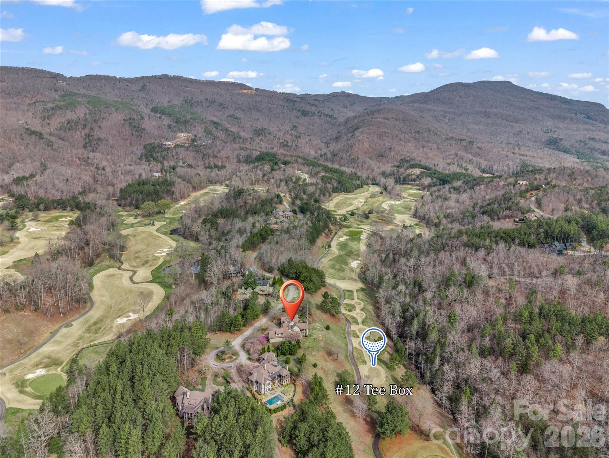 565 Chestertown Drive Mill Spring, NC 28756 - Photo 3 of 47