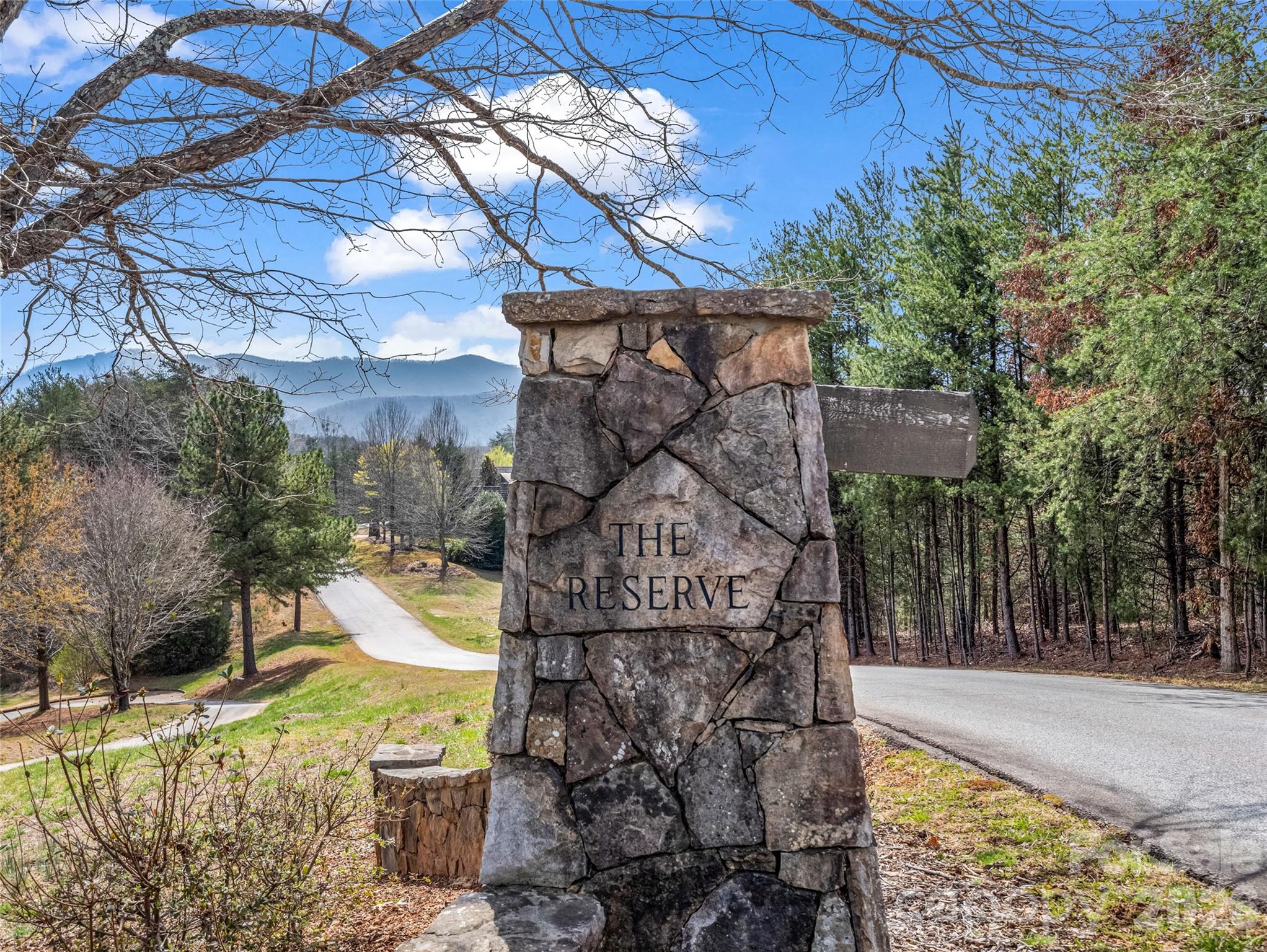 565 Chestertown Drive Mill Spring, NC 28756 - Photo 4 of 47