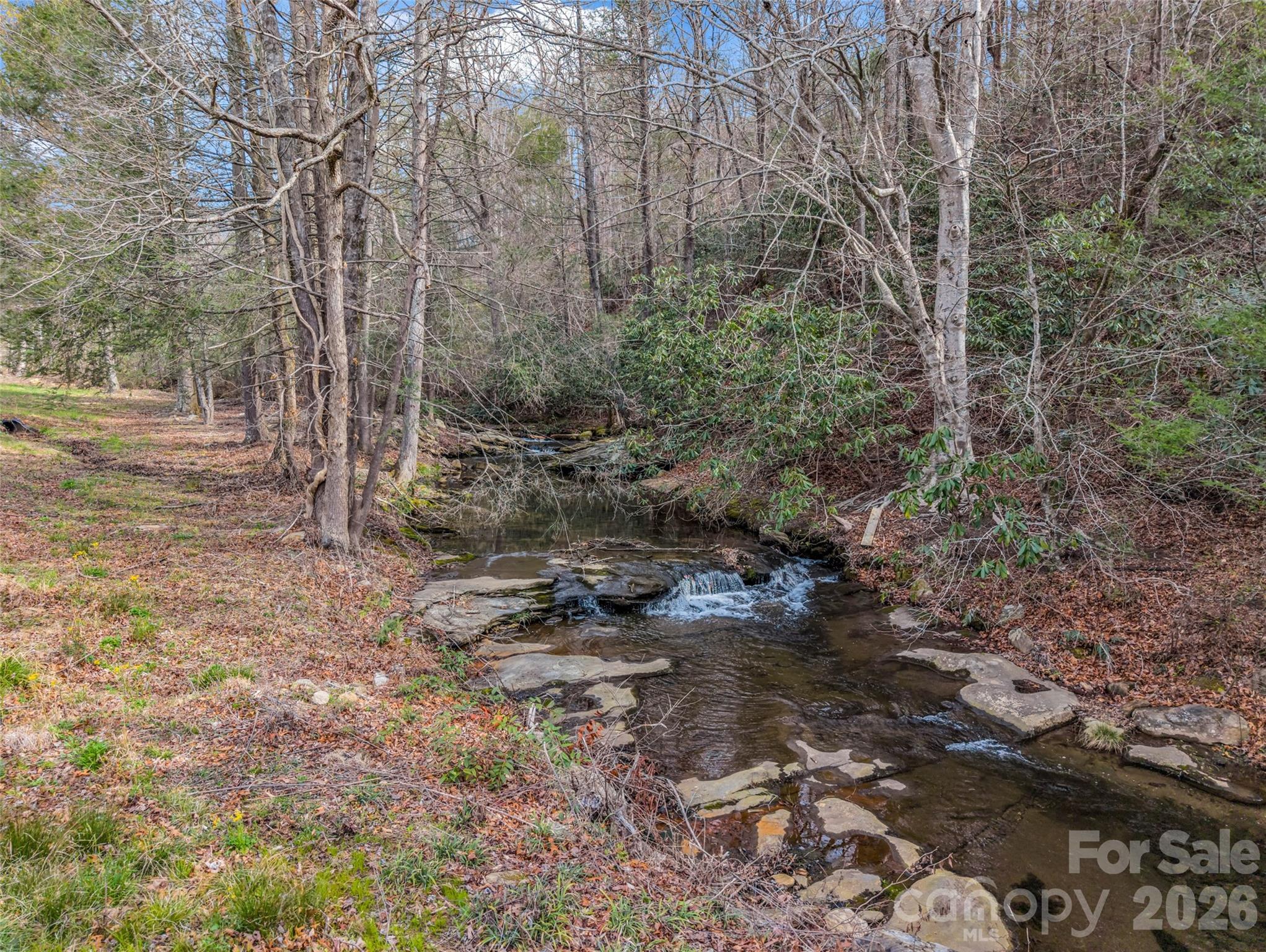 565 Chestertown Drive Mill Spring, NC 28756 - Photo 43 of 47