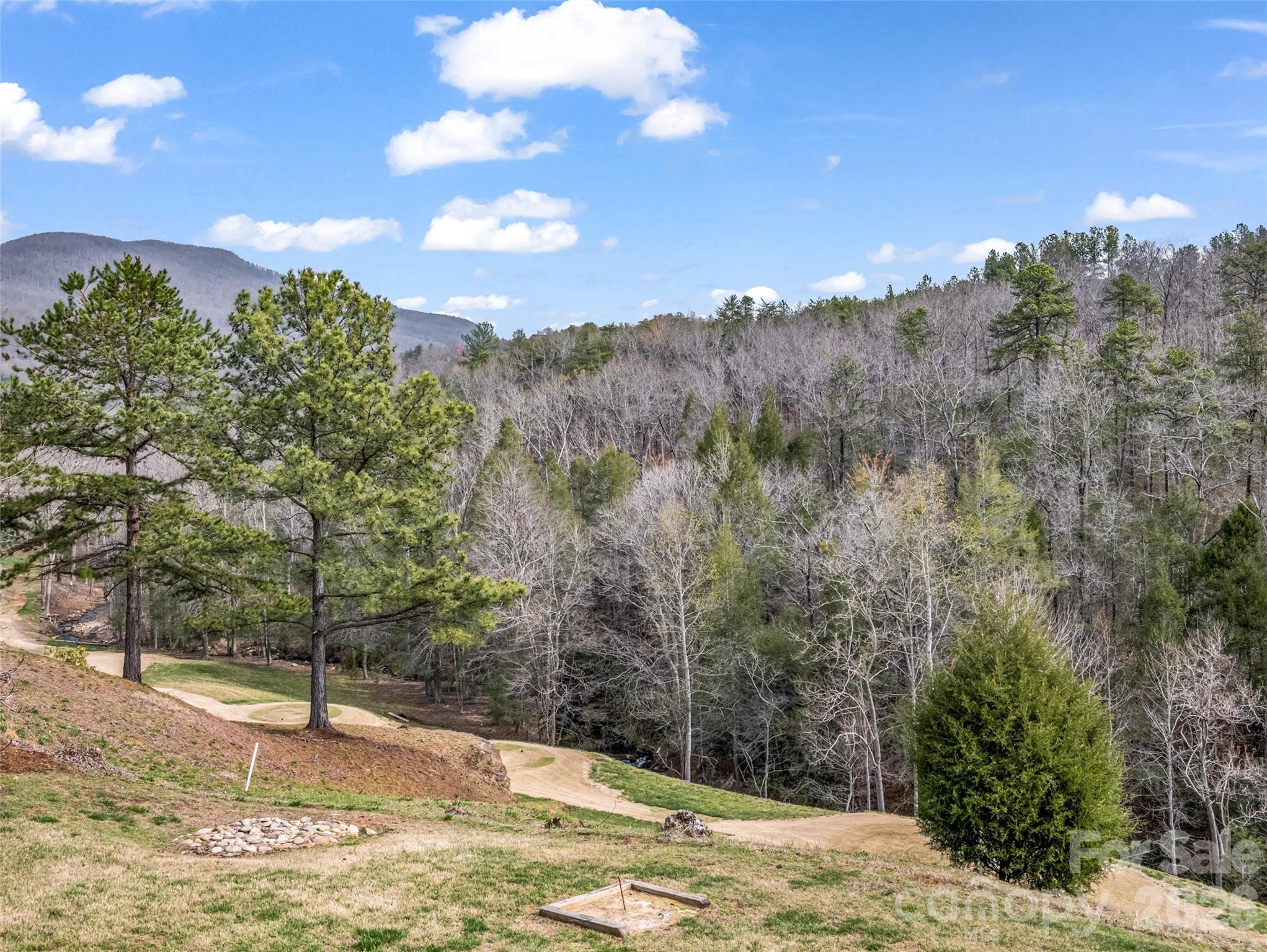 565 Chestertown Drive Mill Spring, NC 28756 - Photo 44 of 47