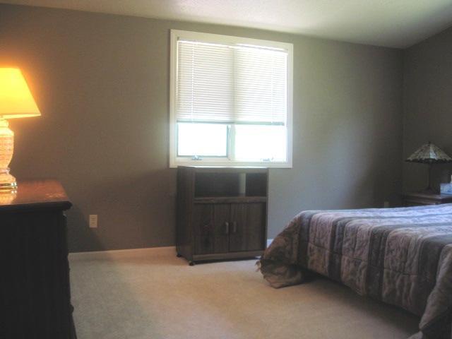 3867 Linke Road Bridgman, MI 49106 - Photo 16 of 21 Additional Photo
