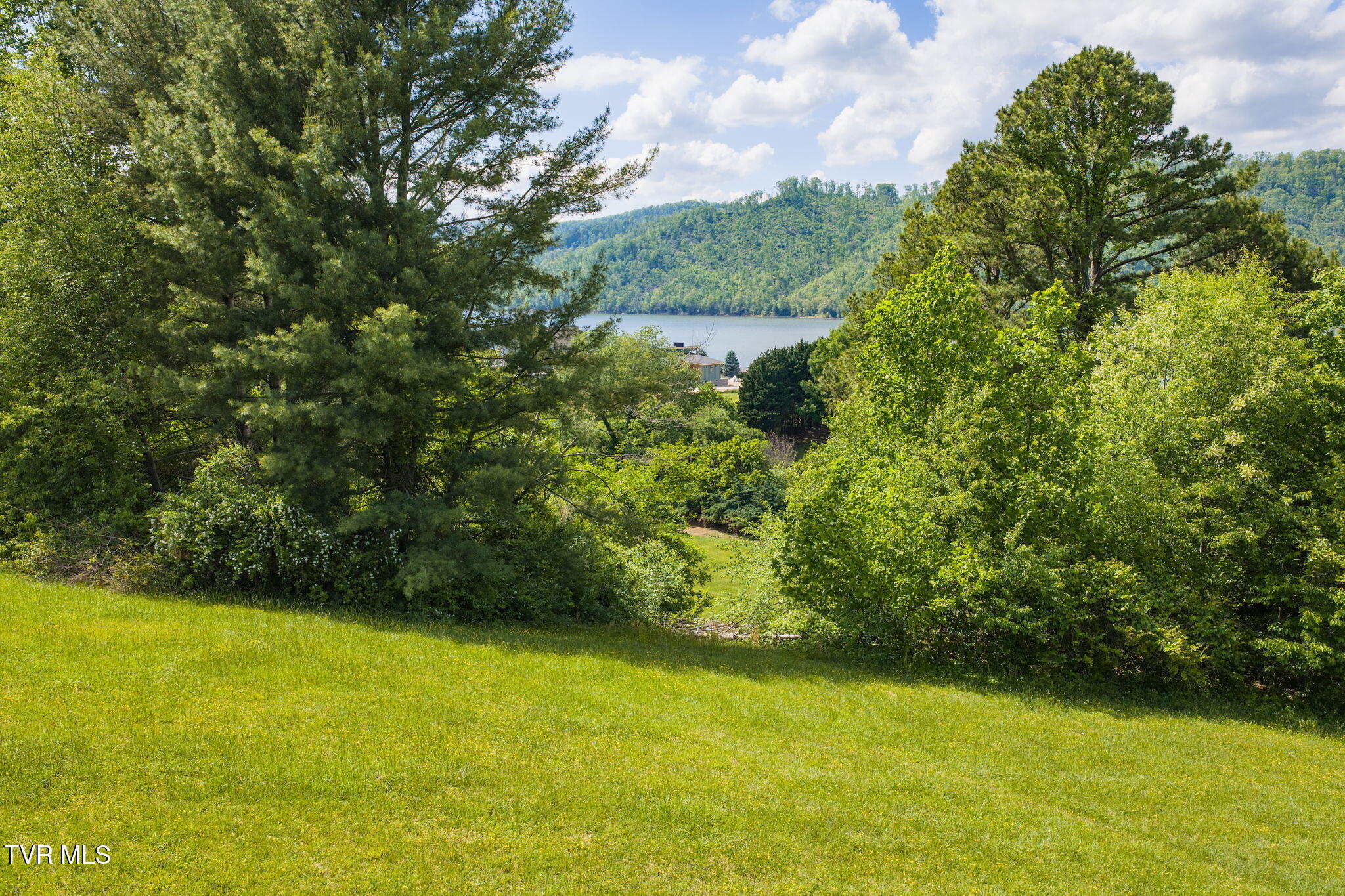 Lot 84 Harbor View Road, Unit 84 Butler, TN 37640 - Photo 14 of 33 14-web-or-mls-DJI_20260509155249_0477_D