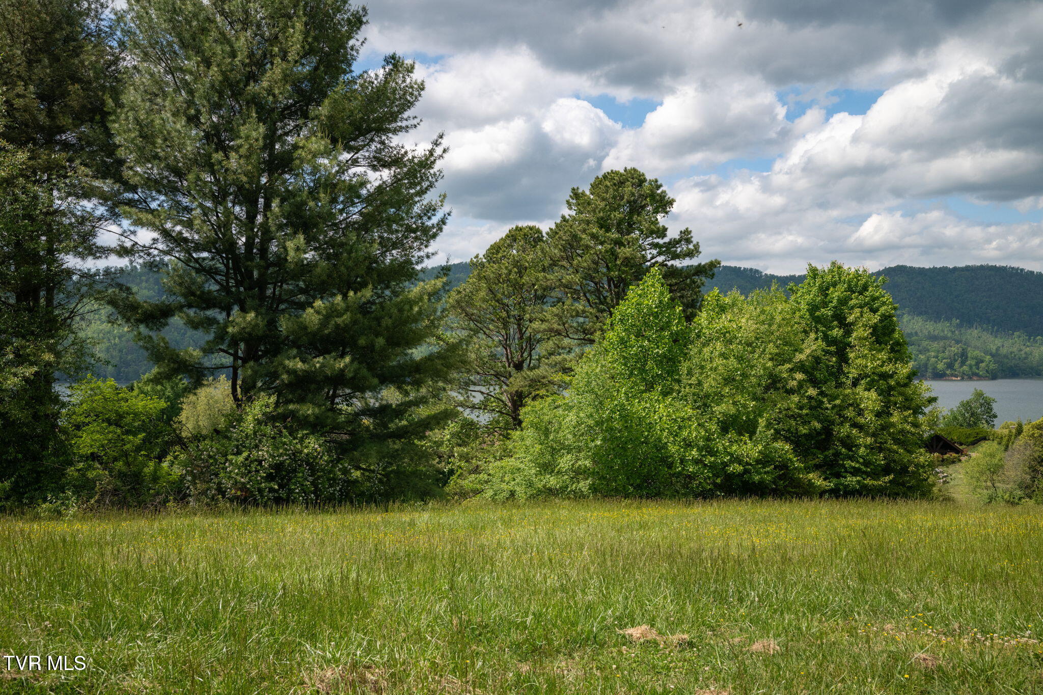 Lot 84 Harbor View Road, Unit 84 Butler, TN 37640 - Photo 27 of 33 27-web-or-mls-EXT_9282