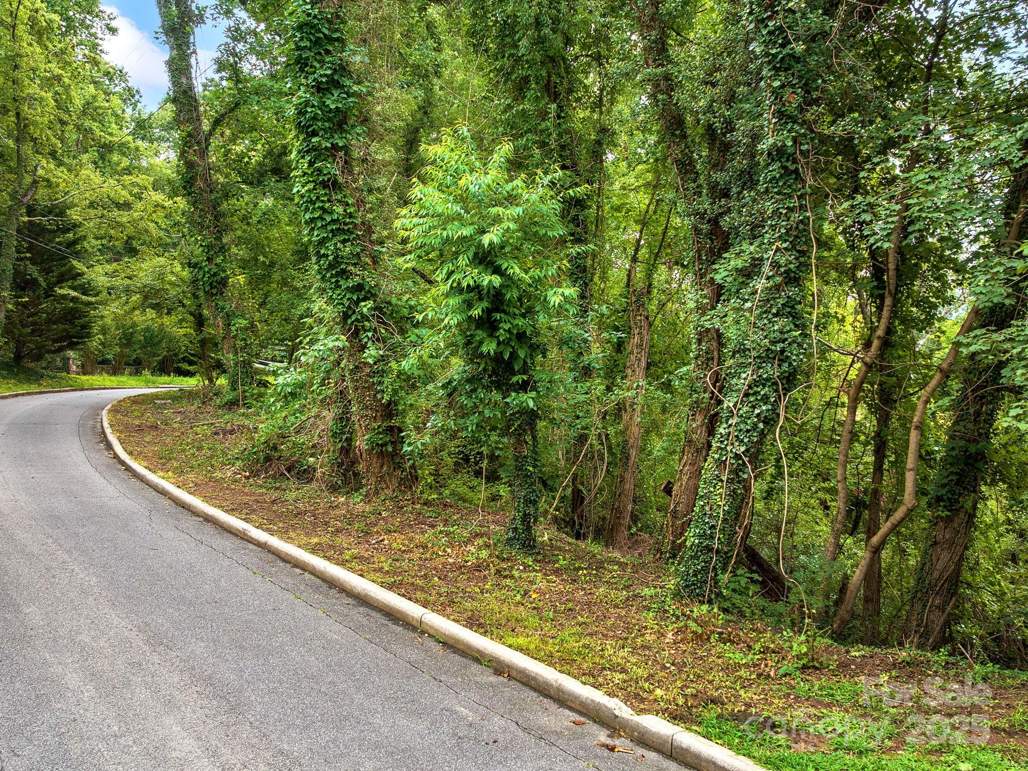 99999 Windsor Road Asheville, NC 28804 - Photo 2 of 7