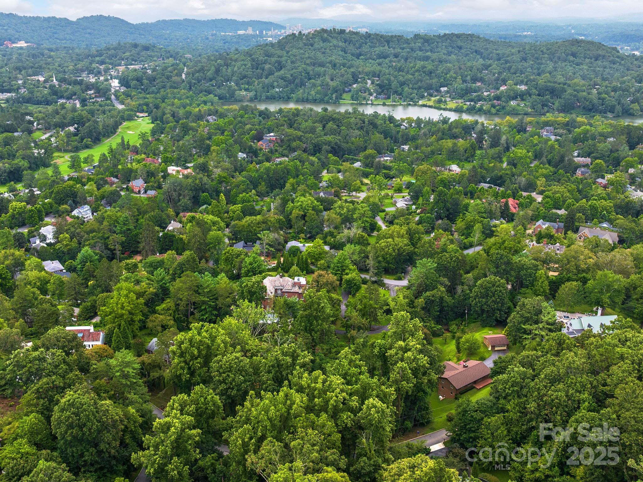 99999 Windsor Road Asheville, NC 28804 - Photo 6 of 7 a view of a lush green field