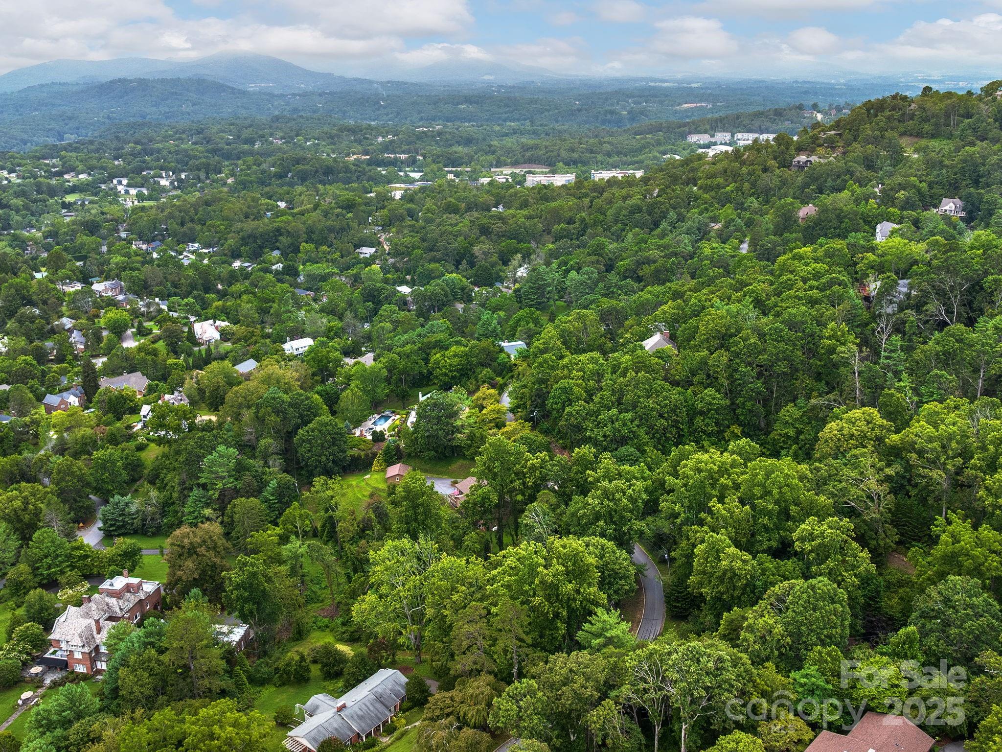 99999 Windsor Road Asheville, NC 28804 - Photo 7 of 7 a view of a bunch of flowers