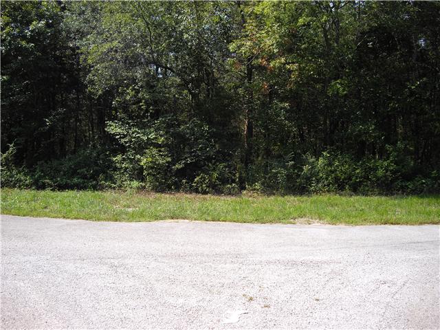 1745 John R Hill Road Lewisburg, TN 37091 - Photo 7 of 16 Wooded lot also fronts on Short Cut Rd and Tyree Td