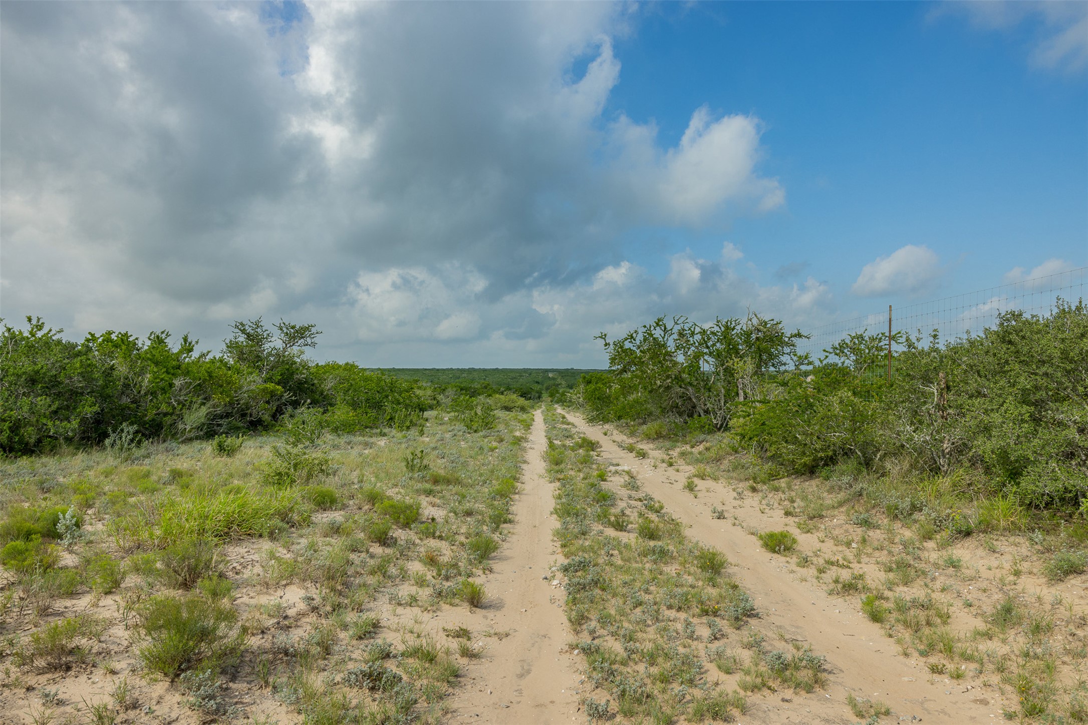 817 Highway 59 George West, TX 78022 - Photo 11 of 40 a view of a yard