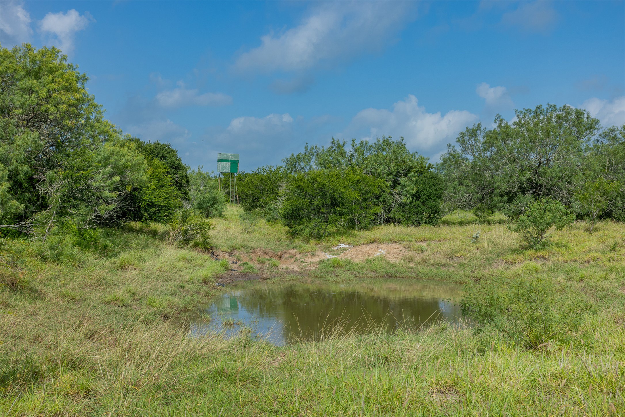 817 Highway 59 George West, TX 78022 - Photo 12 of 40 a view of a lake with a yard