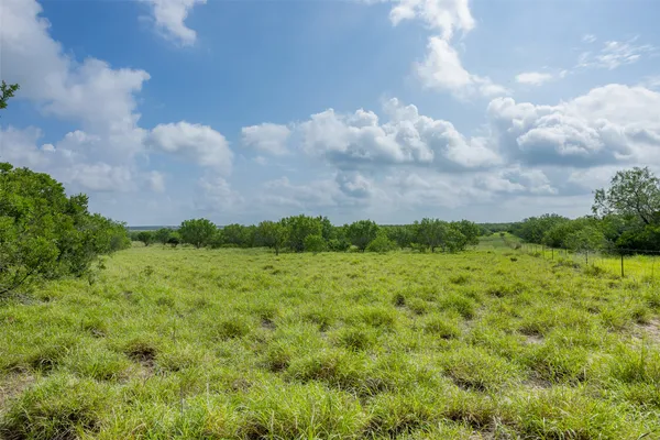 a view of a field of grass and trees