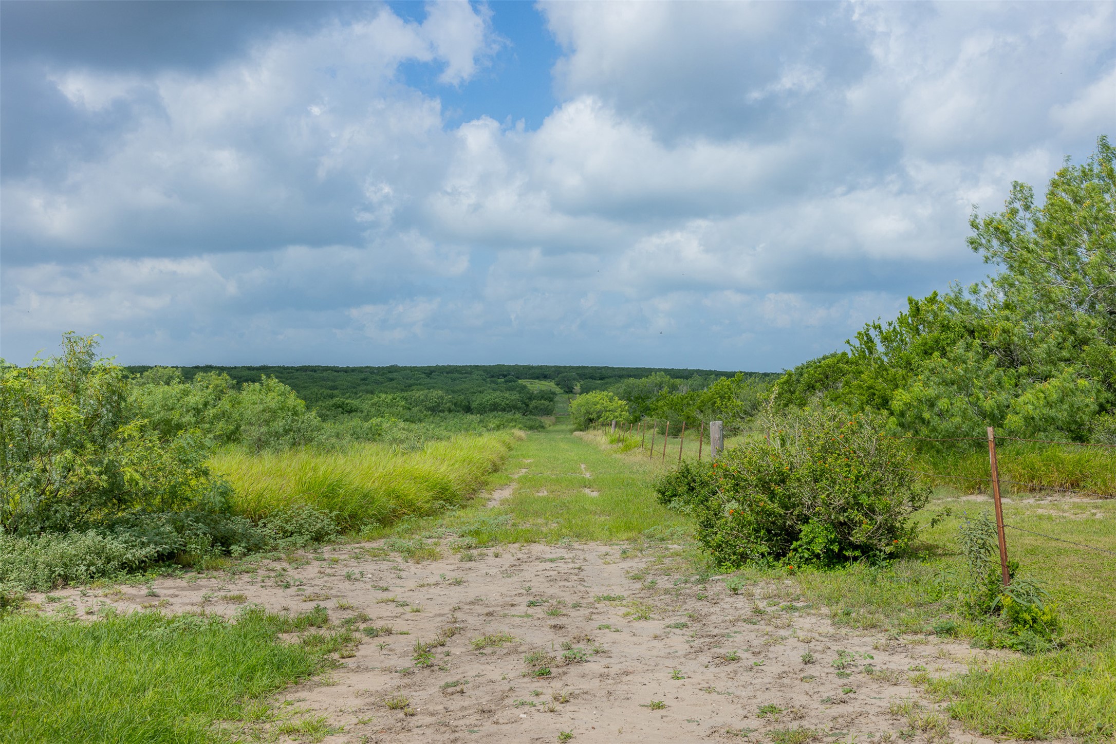 817 Highway 59 George West, TX 78022 - Photo 14 of 40 a view of a yard