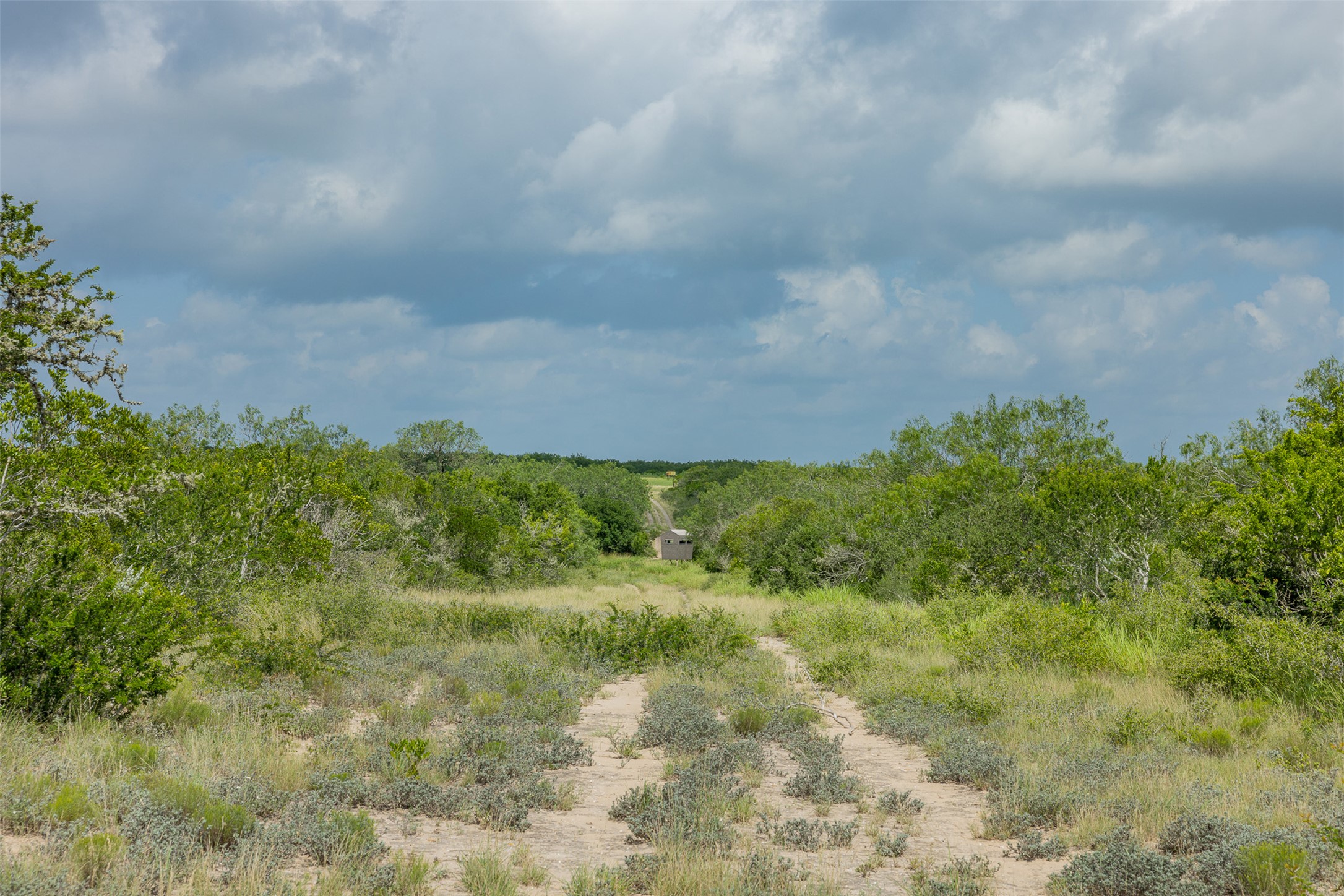 817 Highway 59 George West, TX 78022 - Photo 15 of 40 a view of a field of grass and trees
