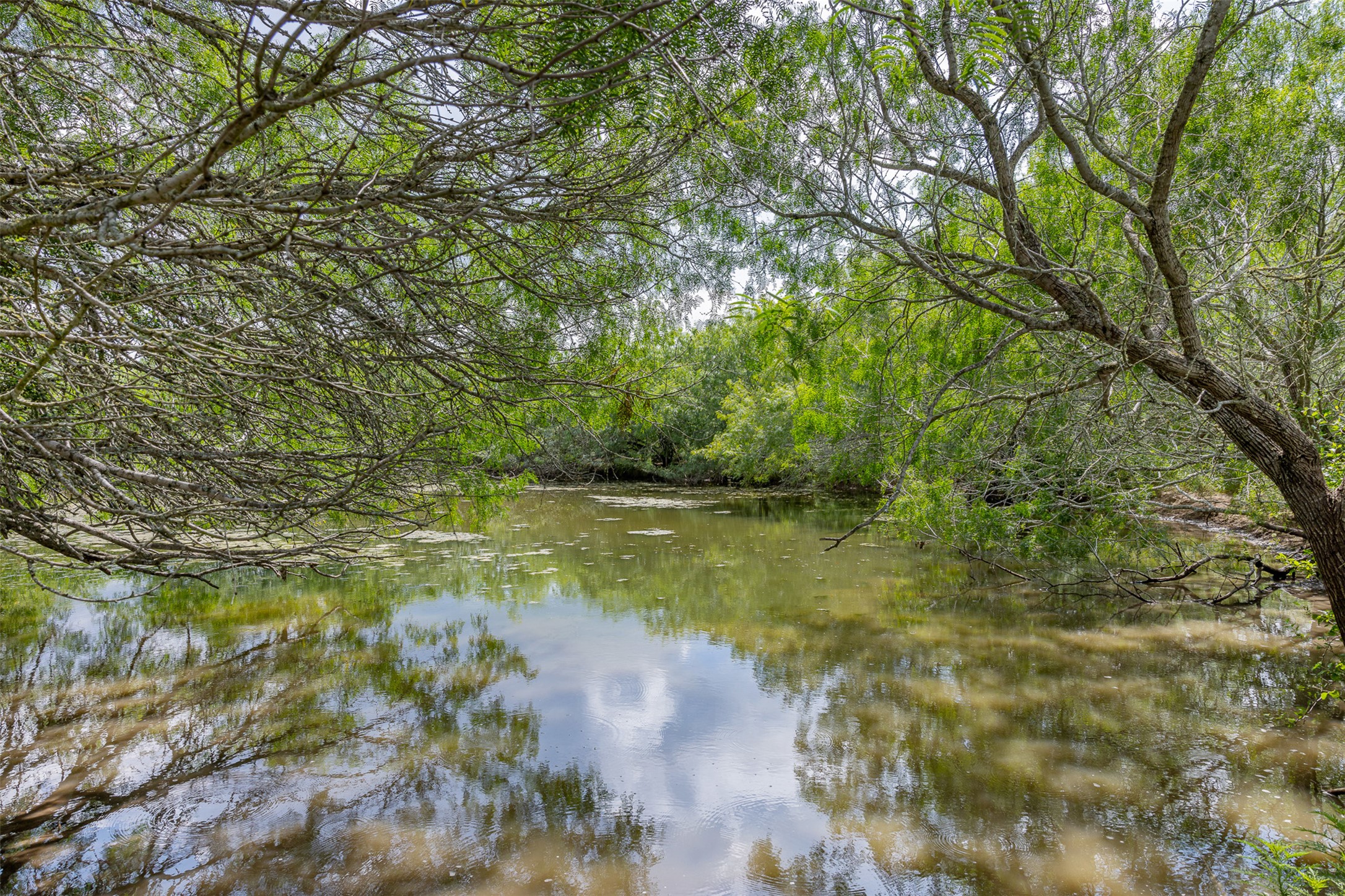 817 Highway 59 George West, TX 78022 - Photo 16 of 40 a view of lake with green space