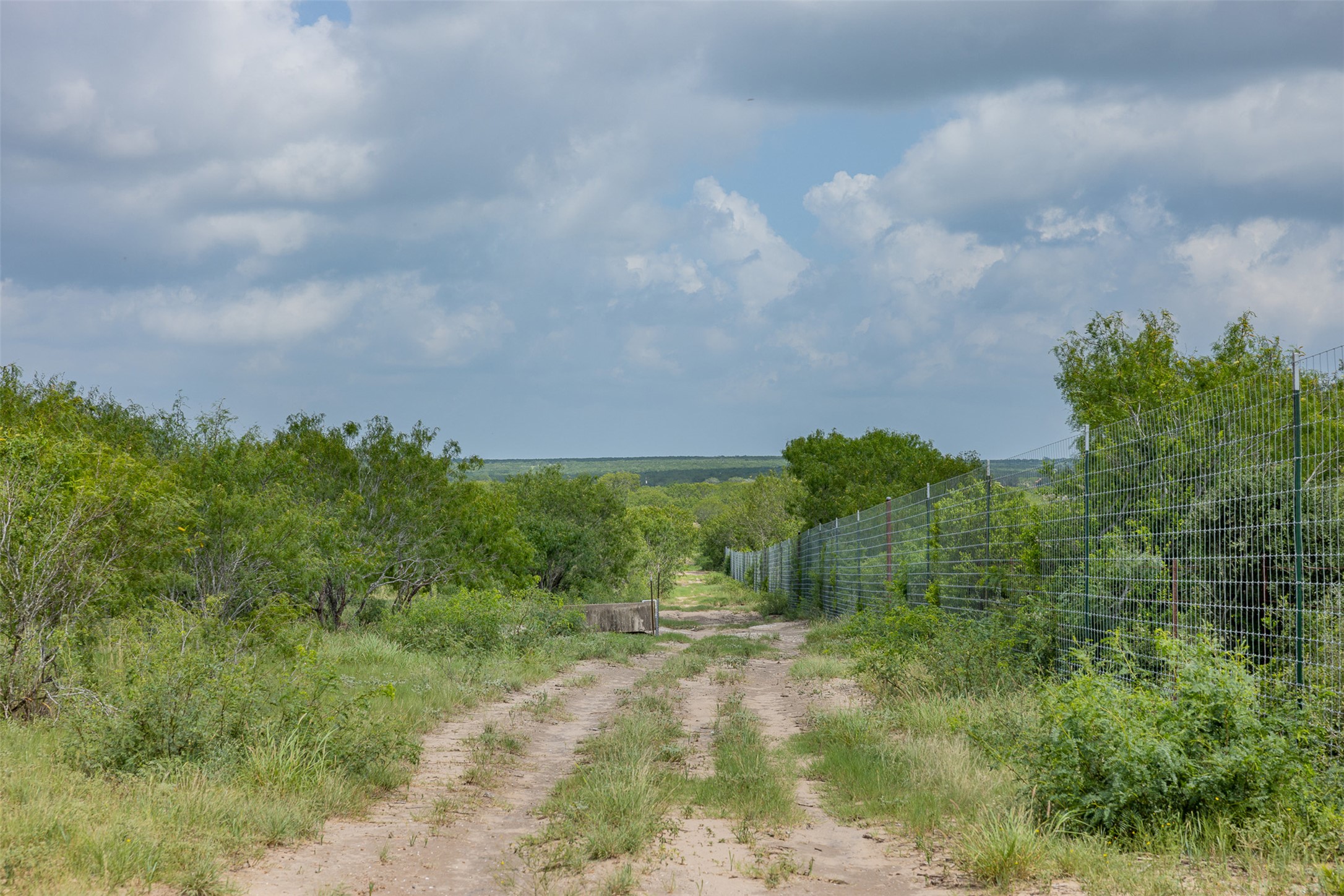 817 Highway 59 George West, TX 78022 - Photo 17 of 40 a view of a bunch of trees