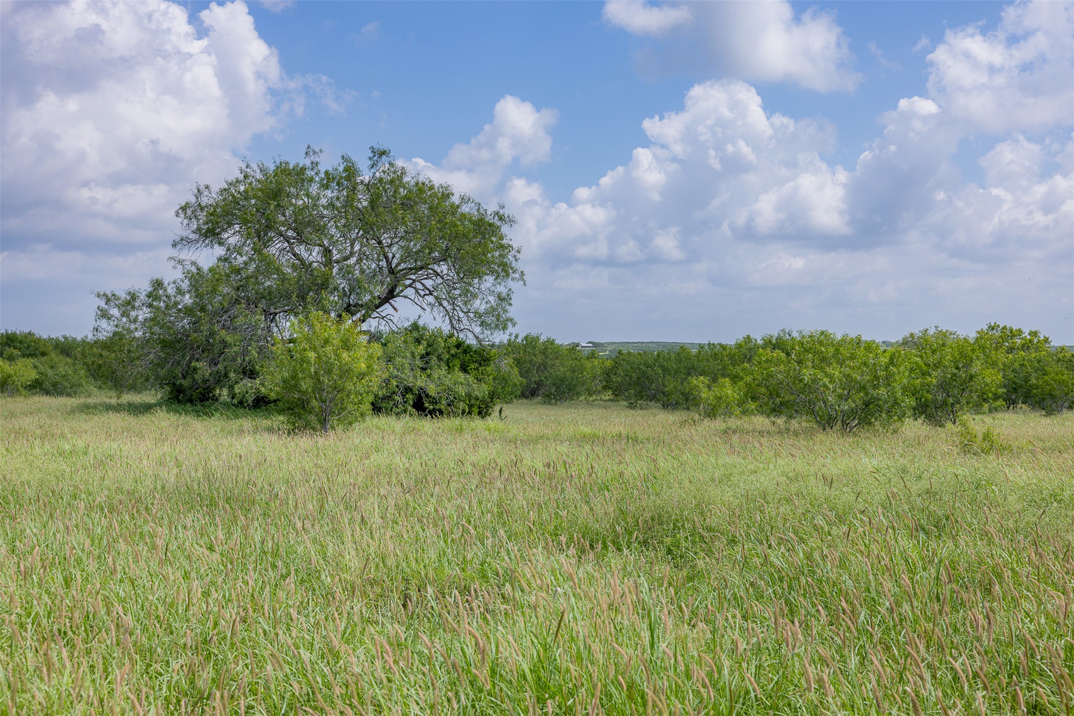 817 Highway 59 George West, TX 78022 - Photo 18 of 40 a view of a yard