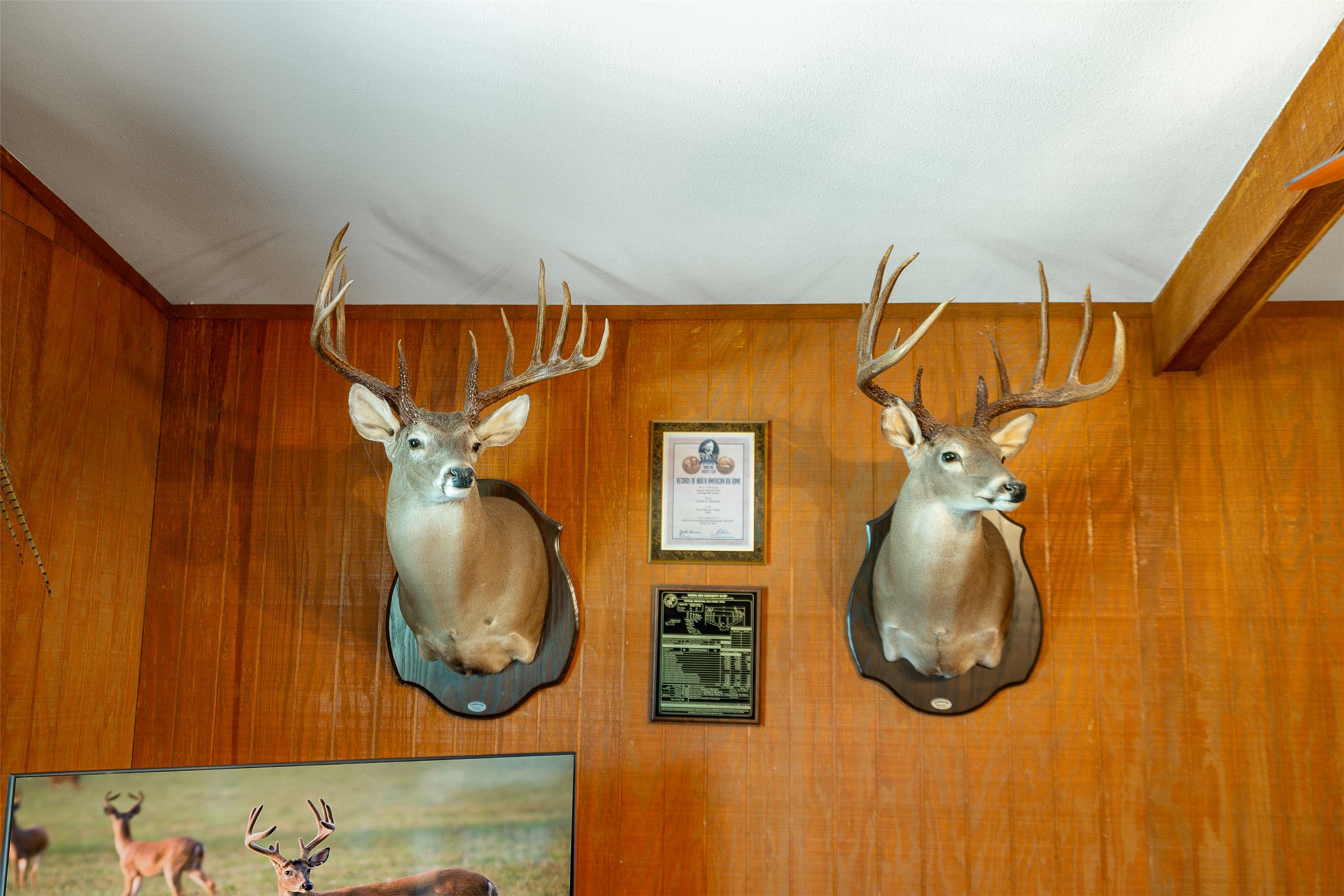 817 Highway 59 George West, TX 78022 - Photo 29 of 40 a bathroom with a mirror and a sink