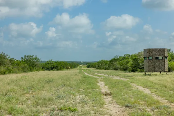 a view of a field with an ocean