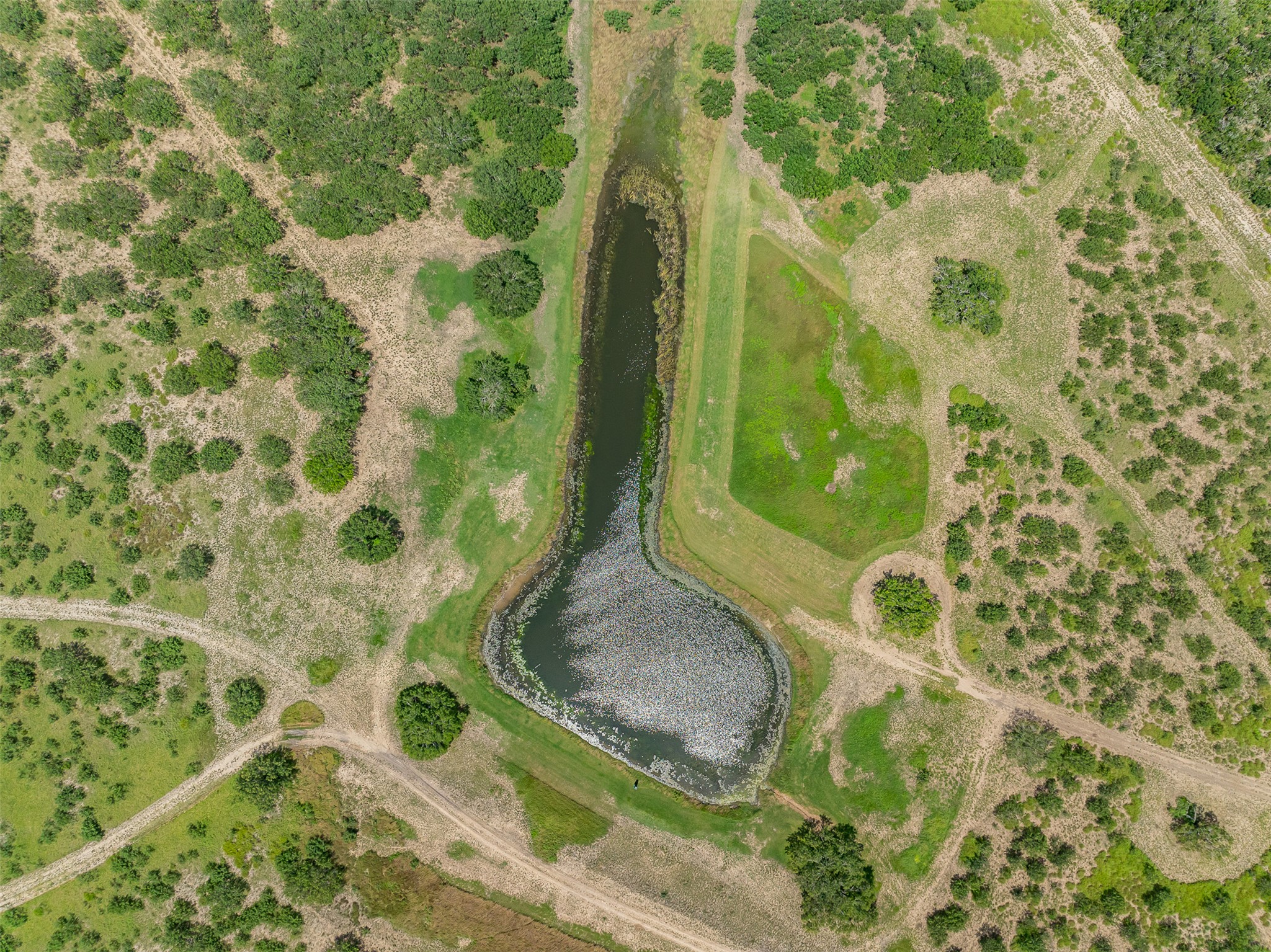 817 Highway 59 George West, TX 78022 - Photo 32 of 40 a bathroom with a granite countertop shower and a mirror