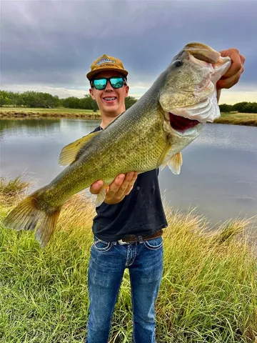 $4,967,200 | 817 Highway 59, George West, TX 78022