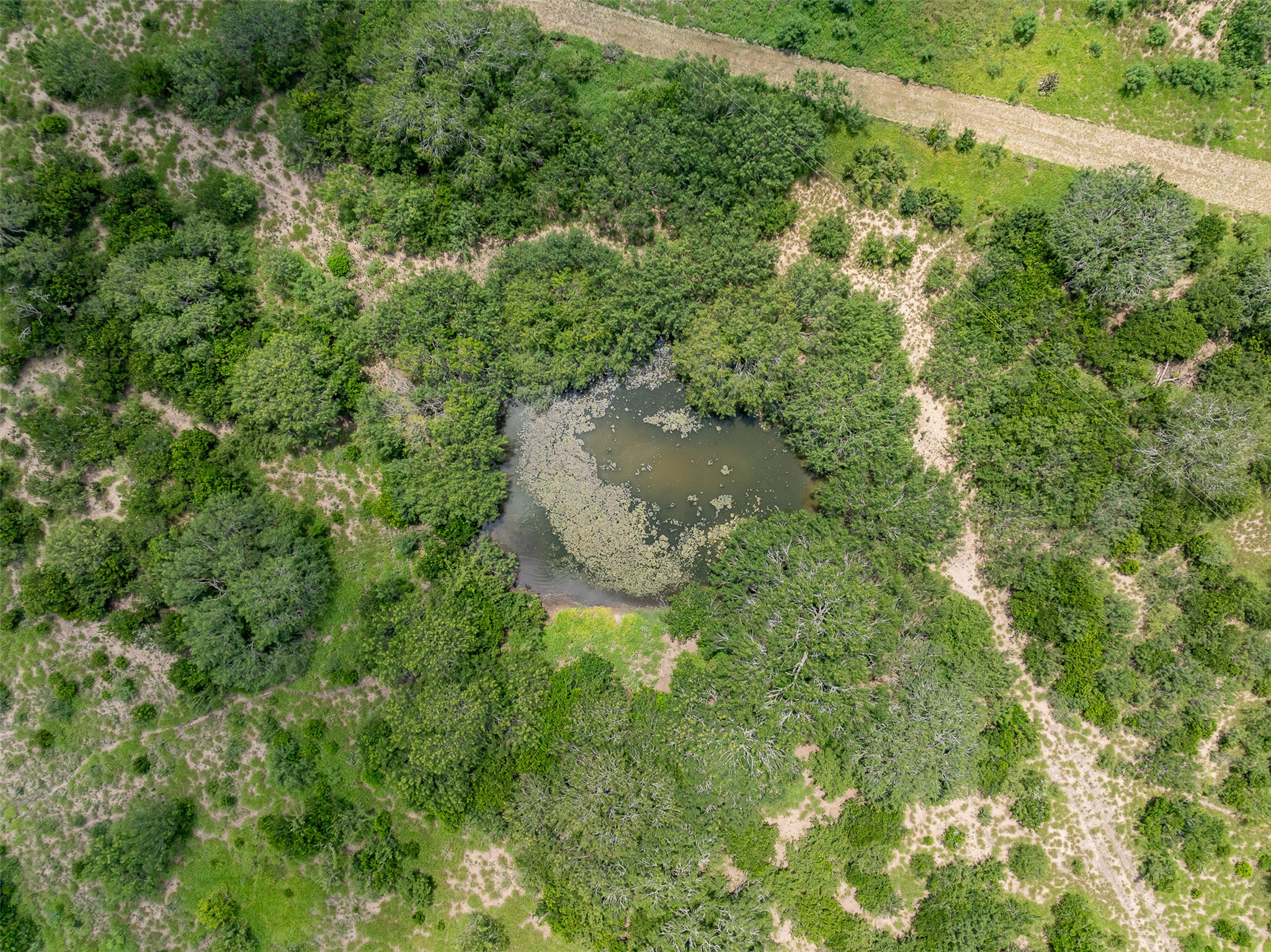 817 Highway 59 George West, TX 78022 - Photo 35 of 40 an aerial view of residential house with outdoor space and trees all around