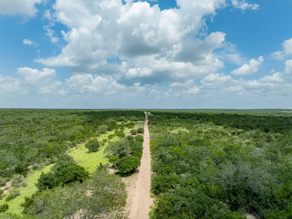 a view of a bunch of trees and bushes