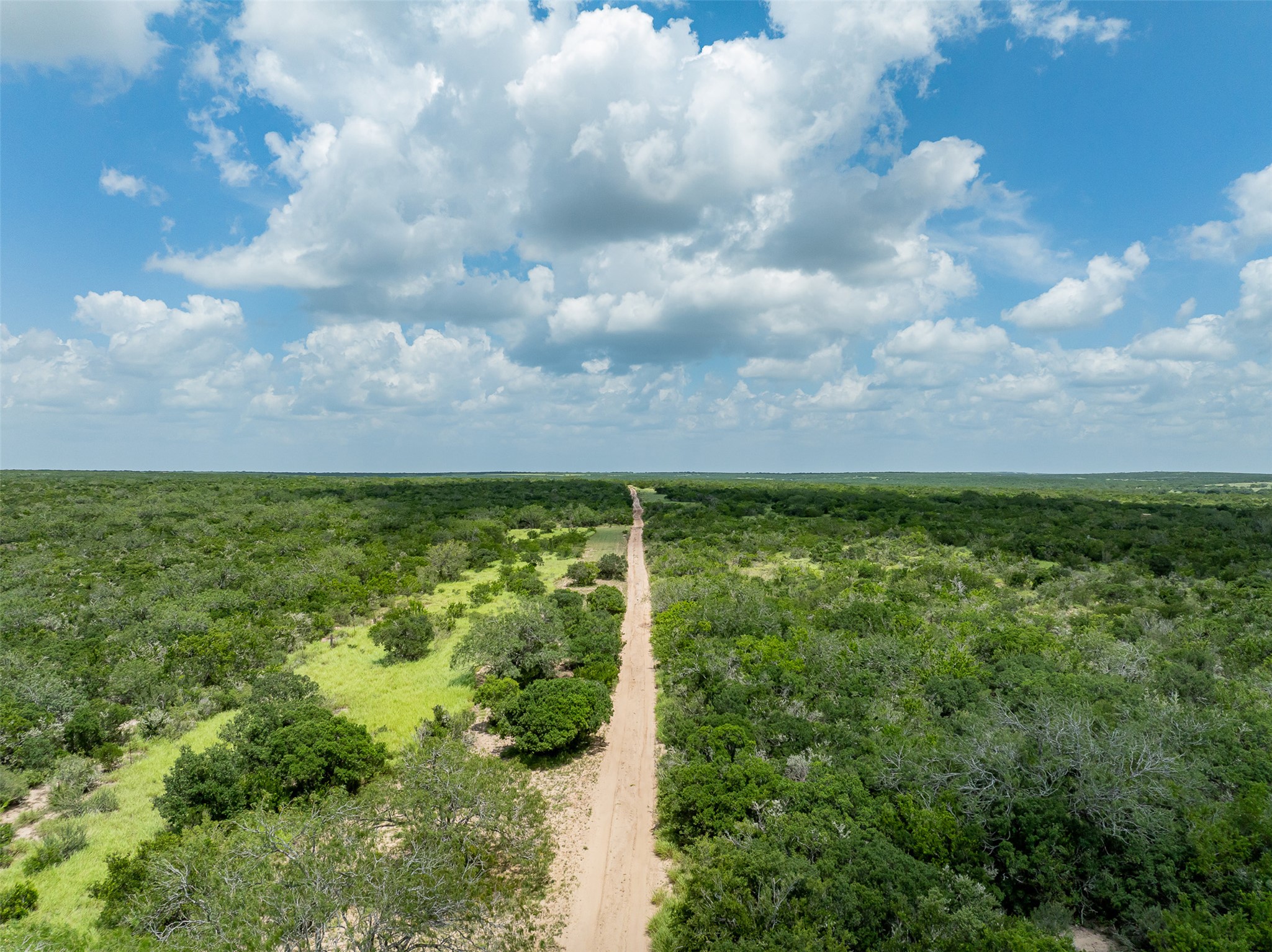 817 Highway 59 George West, TX 78022 - Photo 36 of 40 a view of a garden
